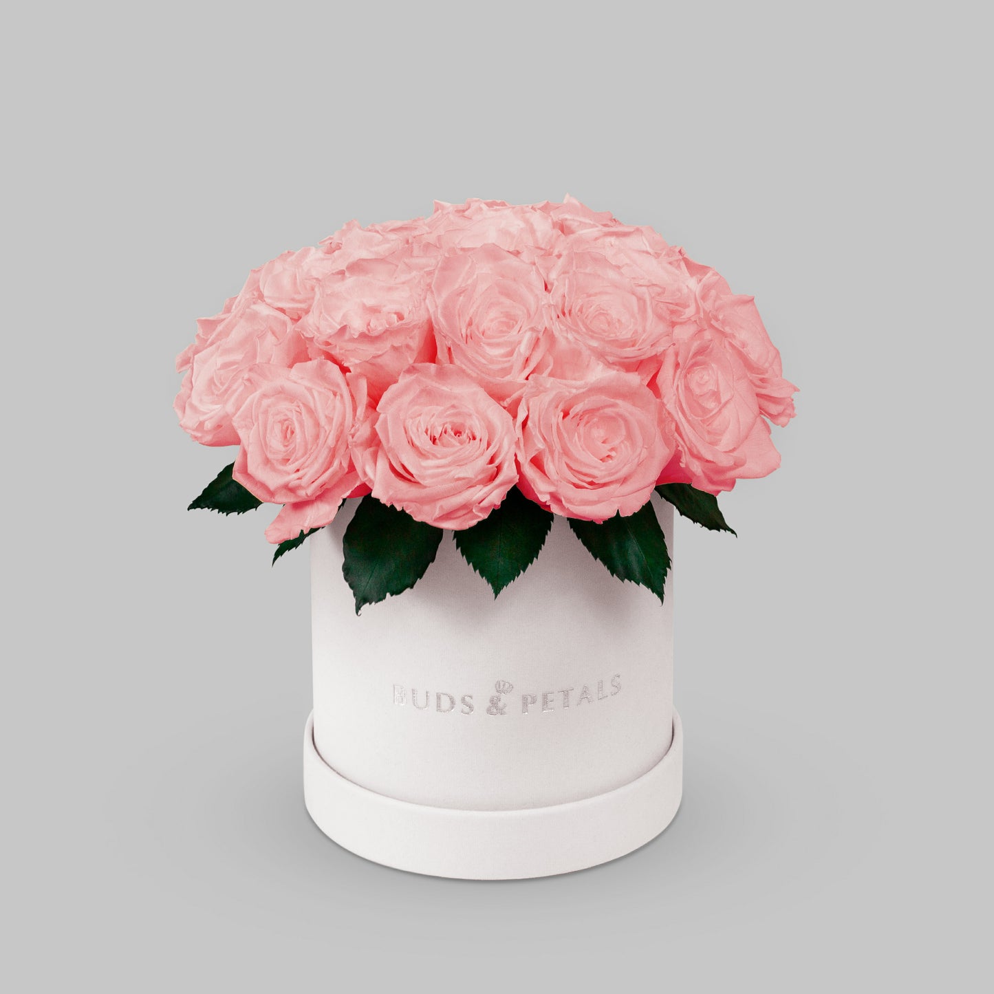 Pink Preserved Roses In a Medium Box BUDS&PETALS