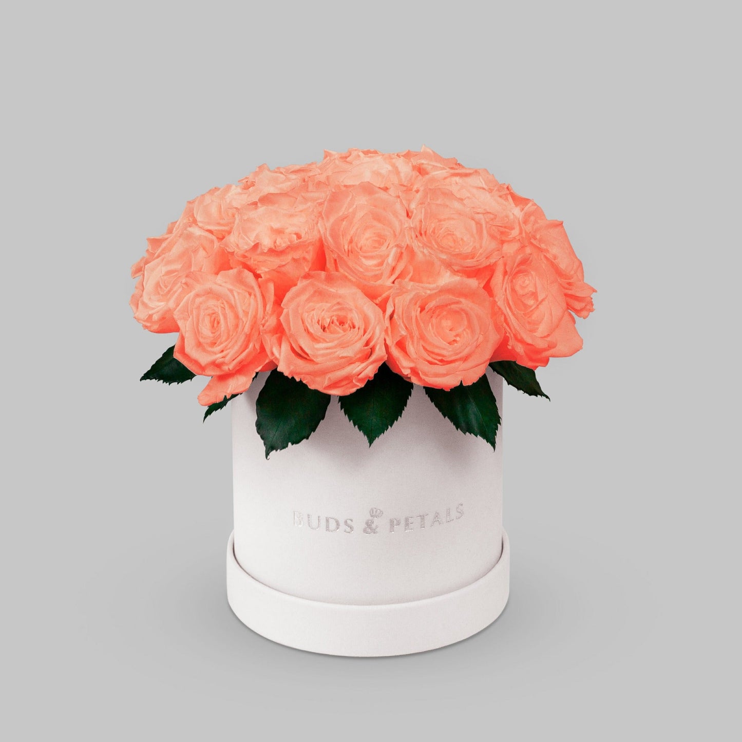 Apricot Preserved Roses In a Medium Box BUDS&PETALS