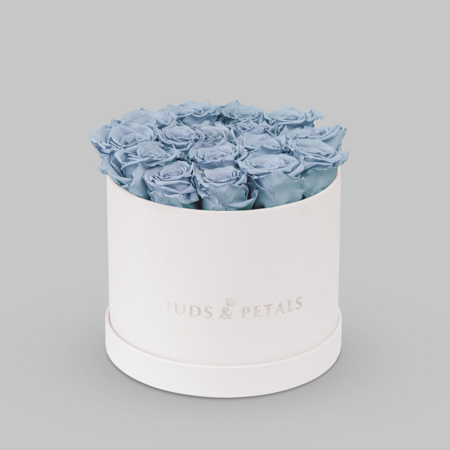 Preserved Roses In a Large Velvet Box BUDS&PETALS