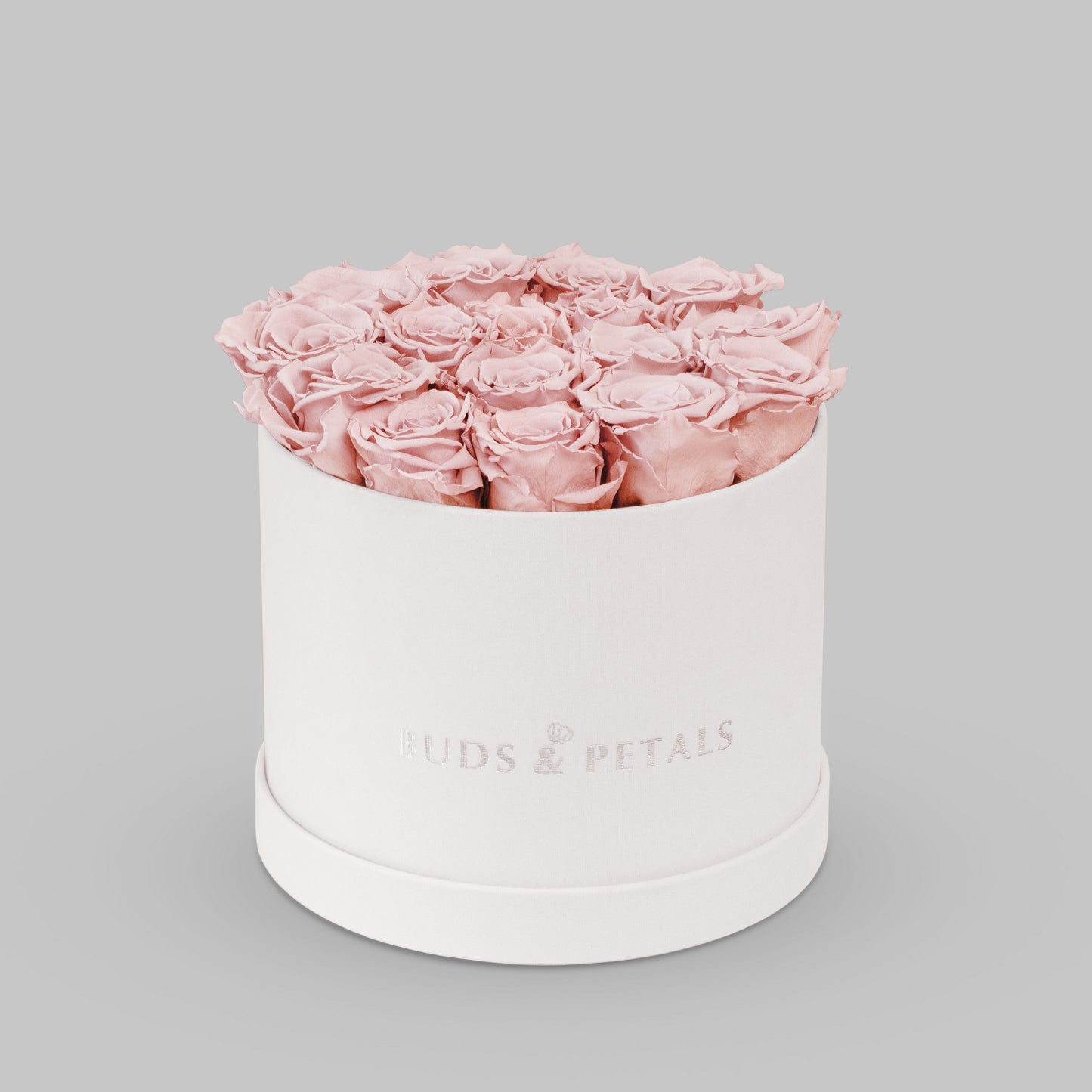 Preserved Roses In a Large Velvet Box BUDS&PETALS