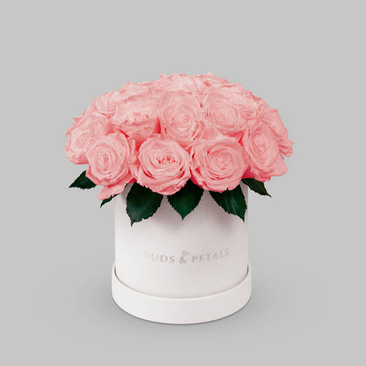Pink Preserved Roses In a Medium Box BUDS&PETALS