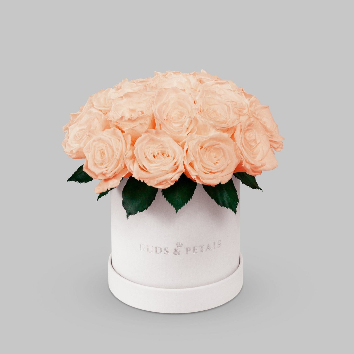 Peach Preserved Roses In a Medium Velvet Box BUDS&PETALS